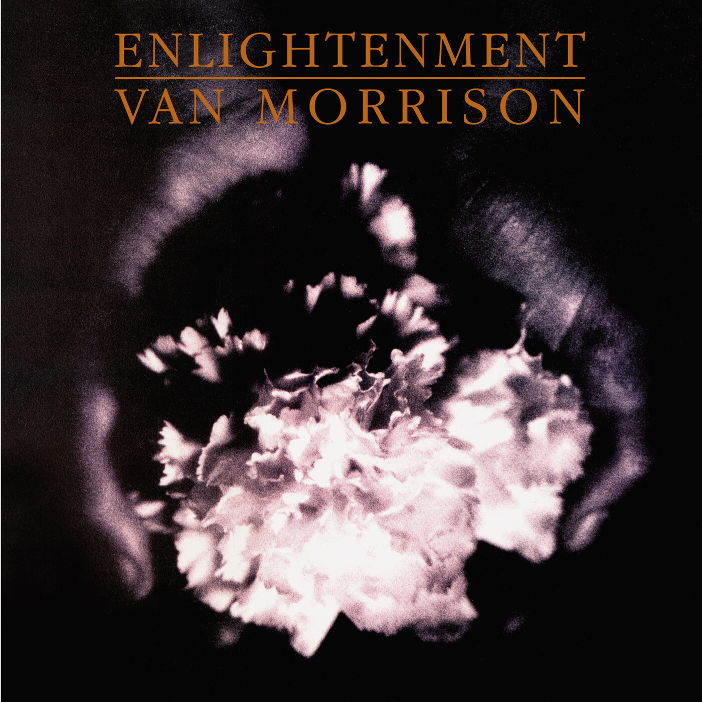 Van Morrison - Enlightenment